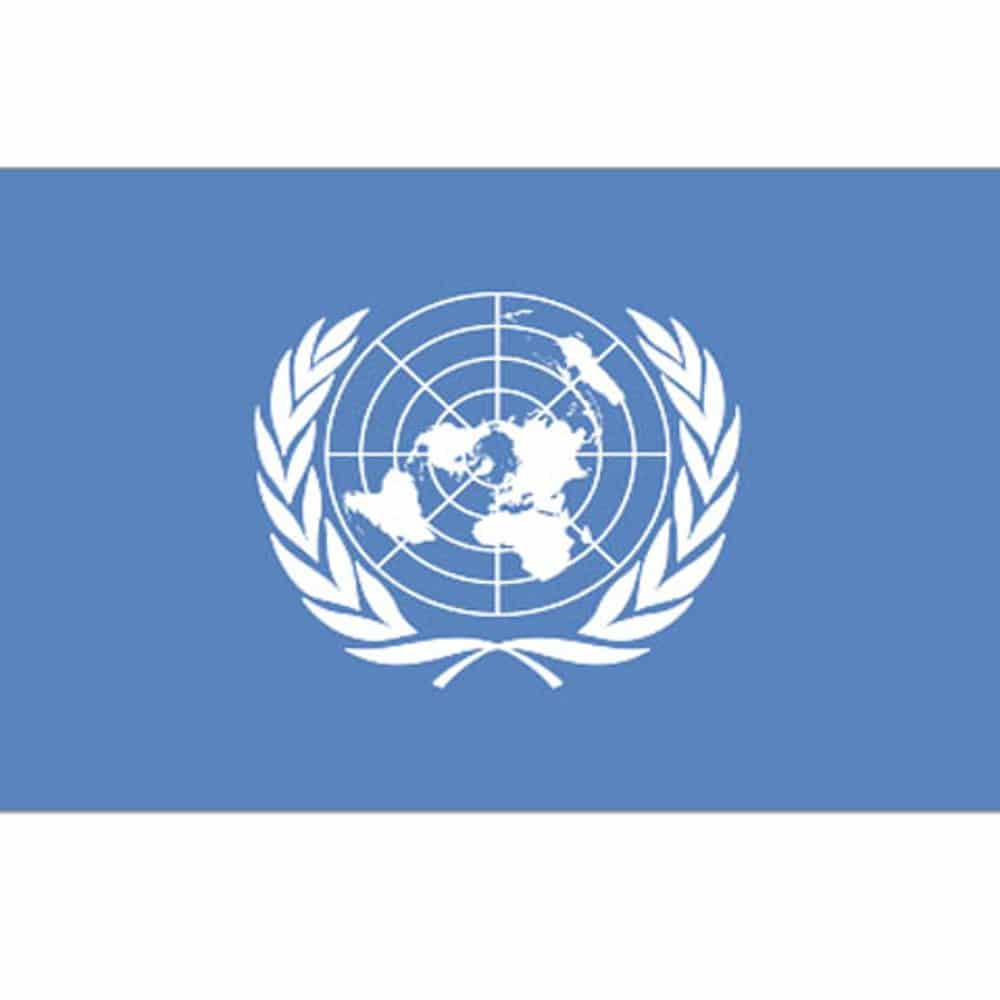 Bandiera UN (ONU - NAZIONI UNITE)